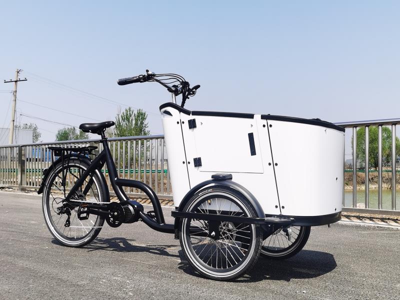 Confused About the Hype Around Cargo Trikes? Here's What You Need to Know