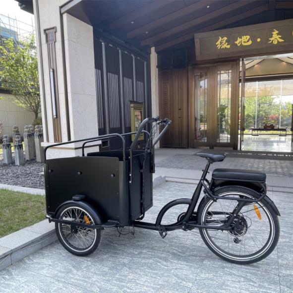 Redefining Efficiency: Discover the Advantages of Cargo Tricycles in Deliveries and Beyond!