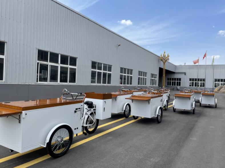 Ice Cream Trikes Offer Effortless Pedaling for Refreshing Treats on the Go