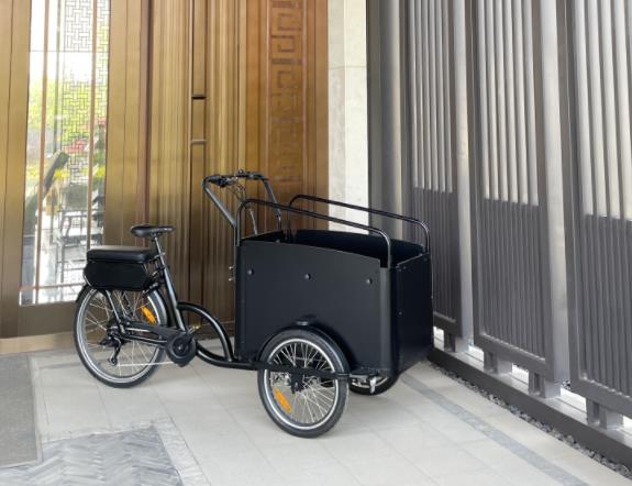 Cargo on the Go: Family-Focused Electric Bikes Worth Considering