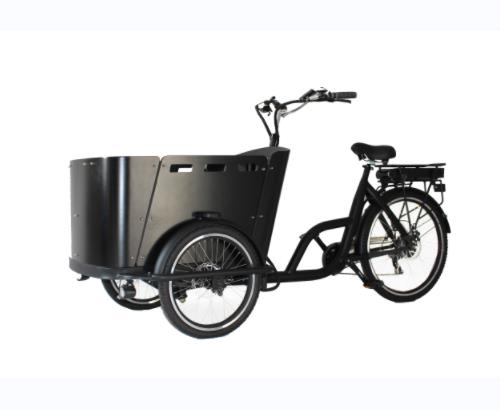 Electric Cargo Bike