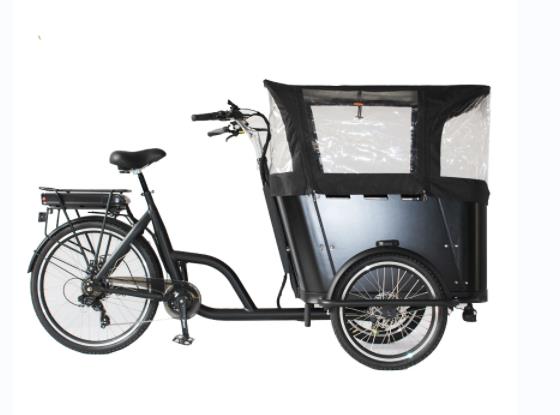 Electric Cargo Bike