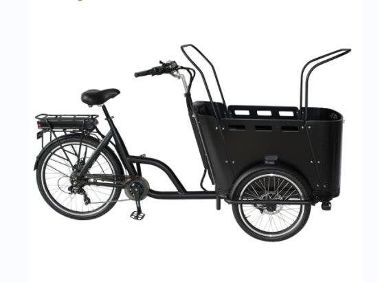 Electric Cargo Bike