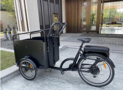 Cargo bike for families and businesses