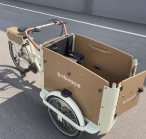 Infinite Creativity: Custom Cargo Bikes for Unique Style and Transport Solutions