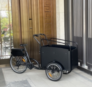 Cargo on the Go: Family-Focused Electric Bikes Worth Considering