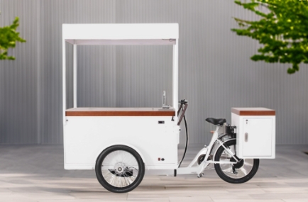 Chill Vibes, Warm Bites: Ice Cream Bike Redefining Winter Indulgence