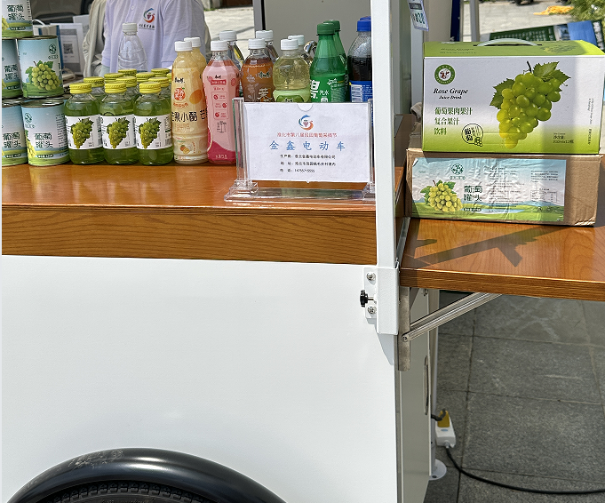 Can I Use an Electric Bike for Food Delivery Work