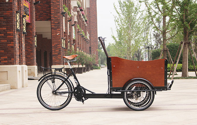 Cargo Bike with Bafang Middle Motor