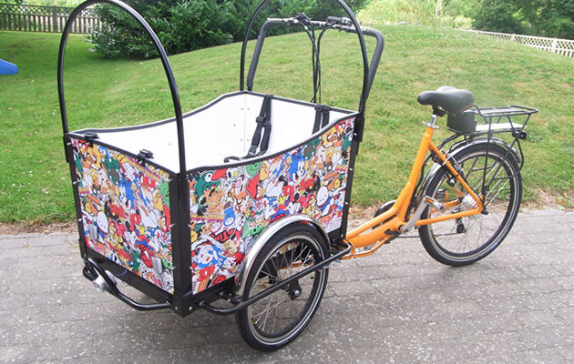 Electric cargo bike C