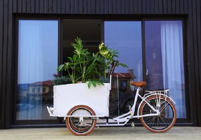 Electric Cargo Bikes-Jxcycles